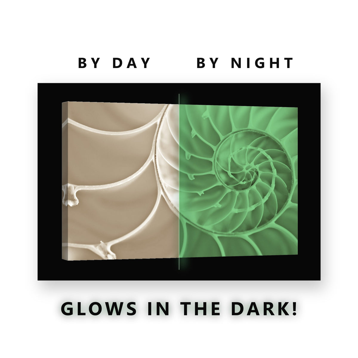 Sepia Nautilus Shell Spiral Glow in the Dark Canvas Wall Art Bathroom, glowing at night