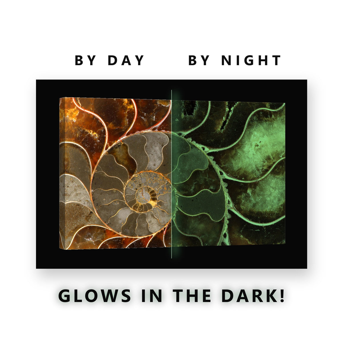 Rust Ammonite Fossil Spiral Glow in the Dark Canvas Wall Art Home Office, glowing at night