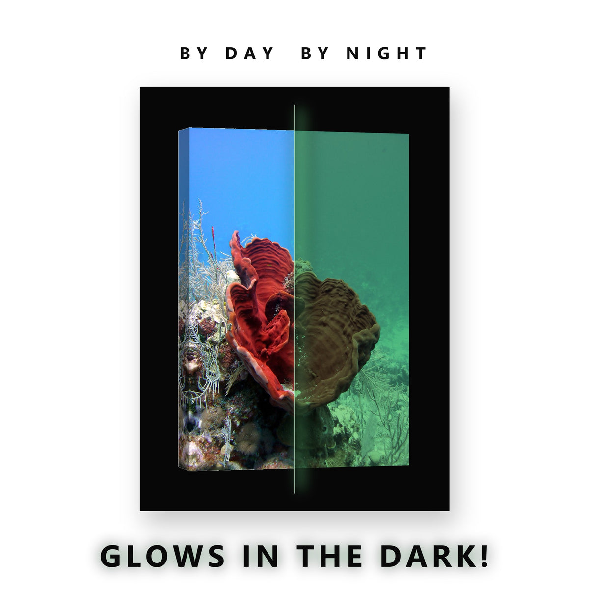 Red Sea Sponge on the Reef Glow in the Dark Canvas Wall Art Bathroom, glowing at night