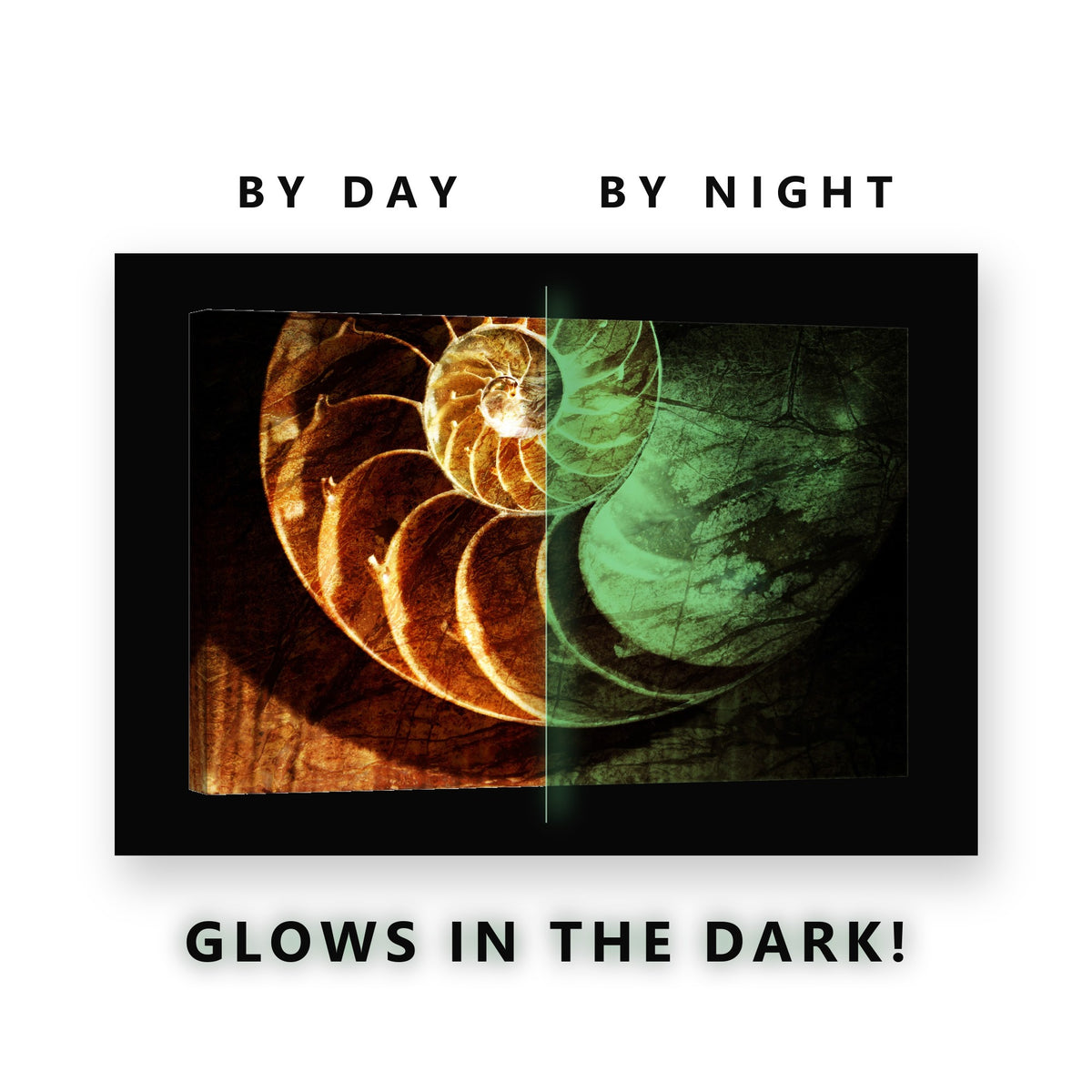 Amber Nautilus Shell Glow in the Dark Canvas Wall Art for Living Room, glowing at night