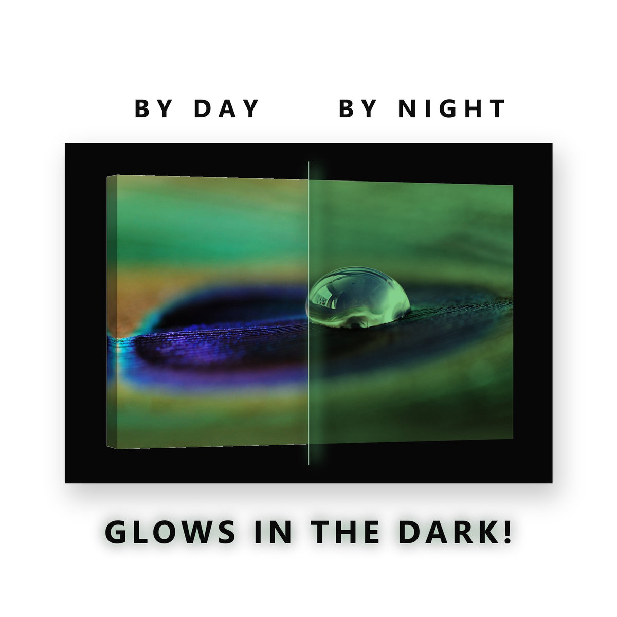 Water Drop on Peacock Feather Glow in the Dark Canvas Wall Art Bathroom, glowing at night