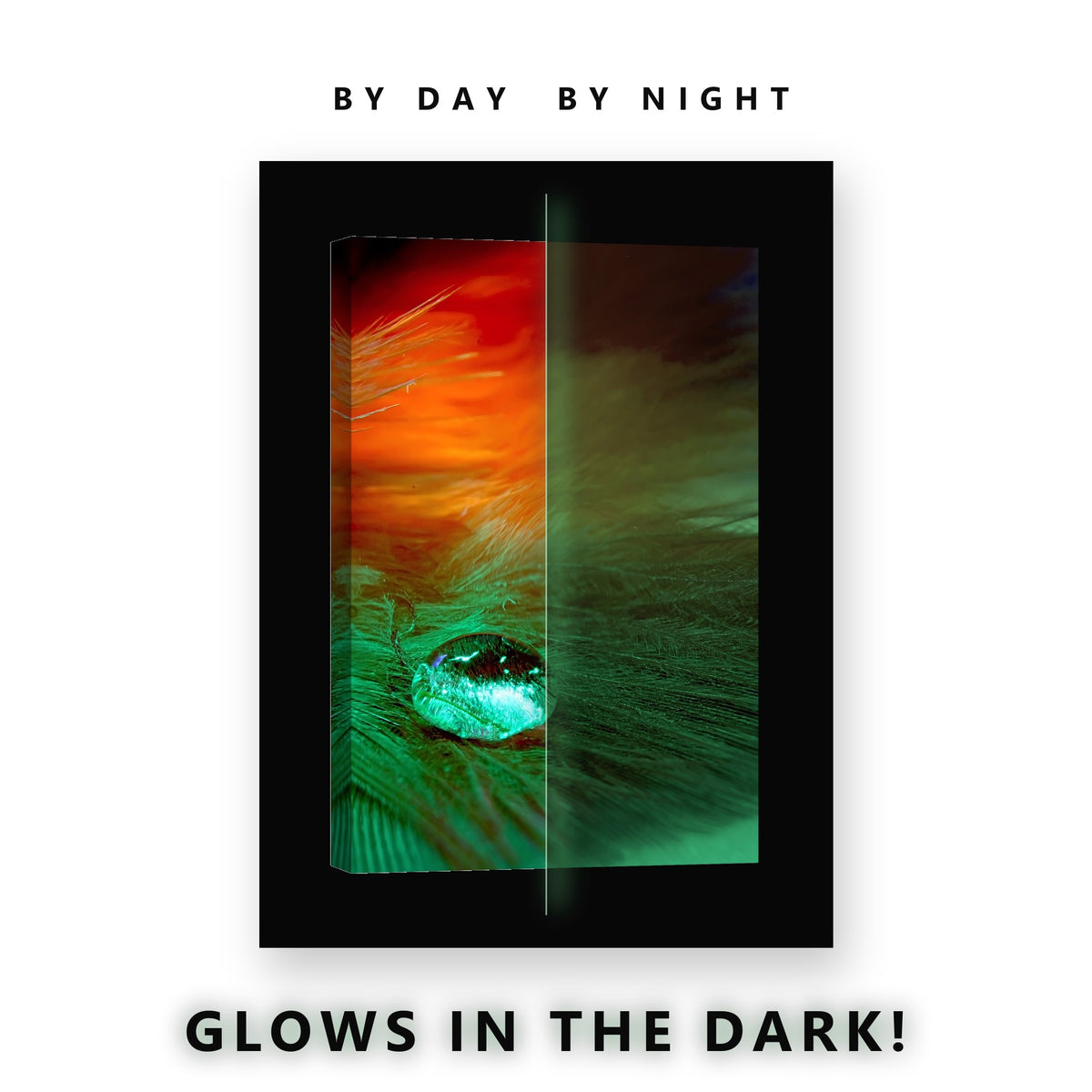 Water Drop on a Green Feather Glow in the Dark Canvas Wall Art Bathroom, glowing at night