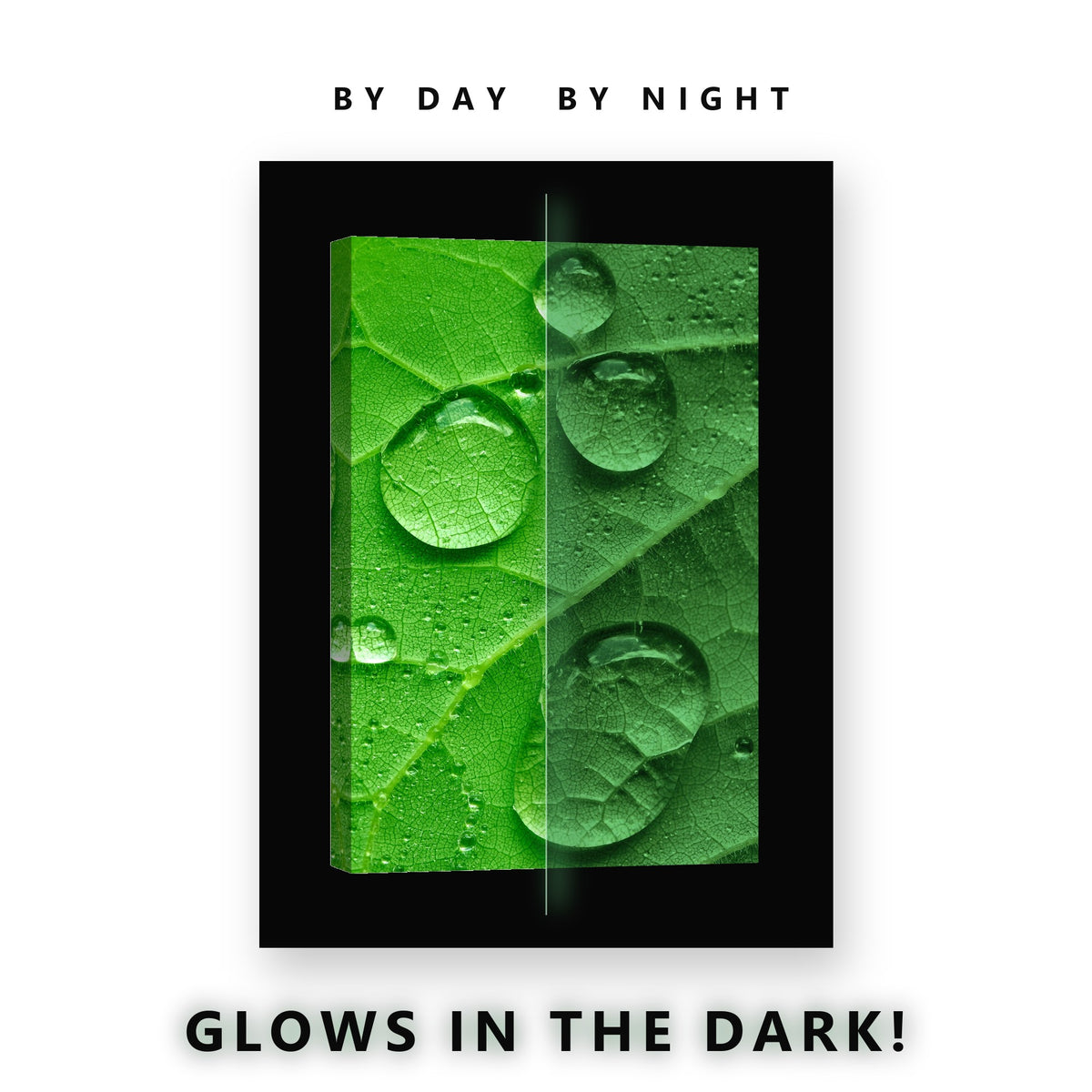 Water Drops on a Green Leaf Glow in the Dark Canvas Wall Art Bathroom, glowing at night
