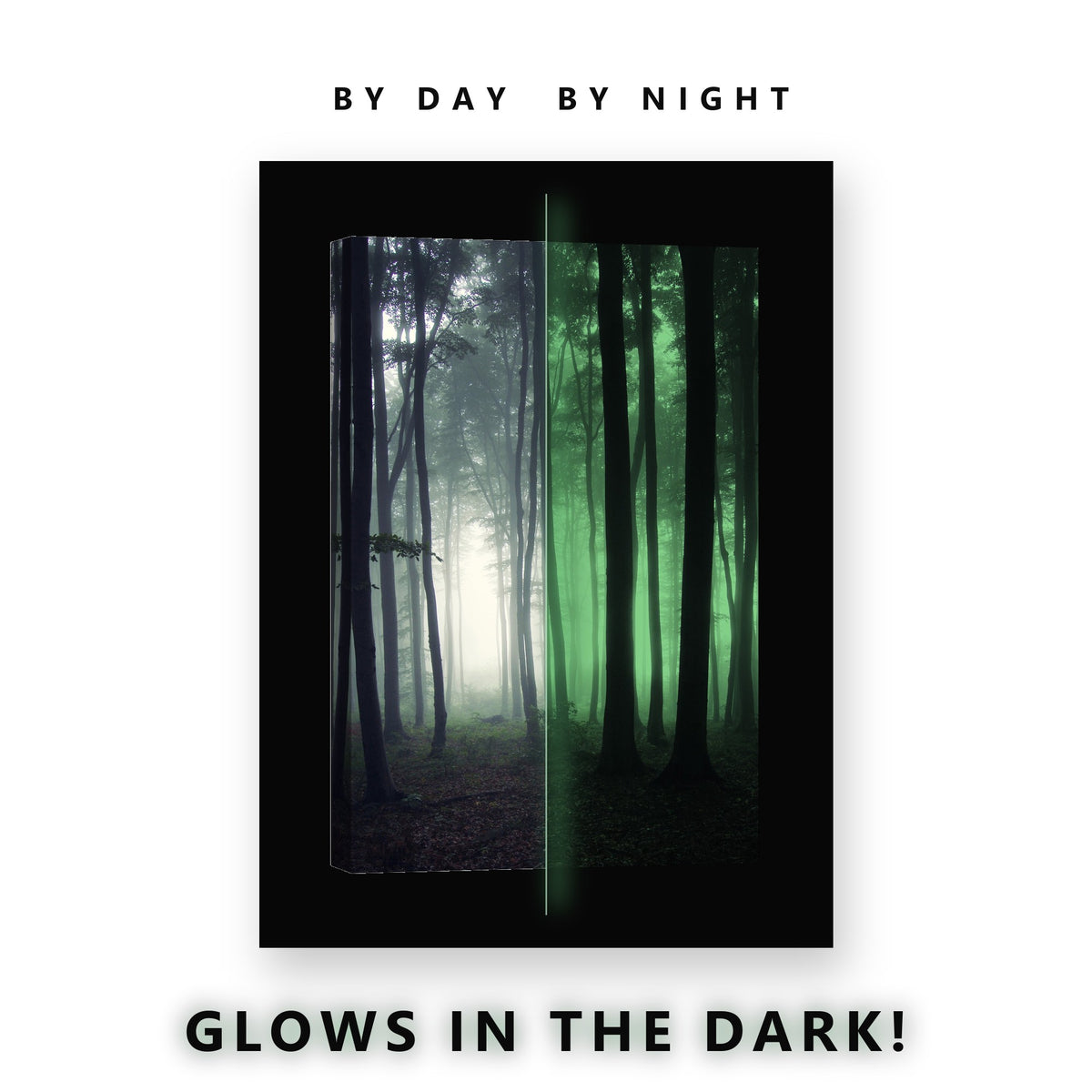 Misty Beech Forest Trunks Glow in the Dark Canvas Wall Art for Living Room, glowing at night