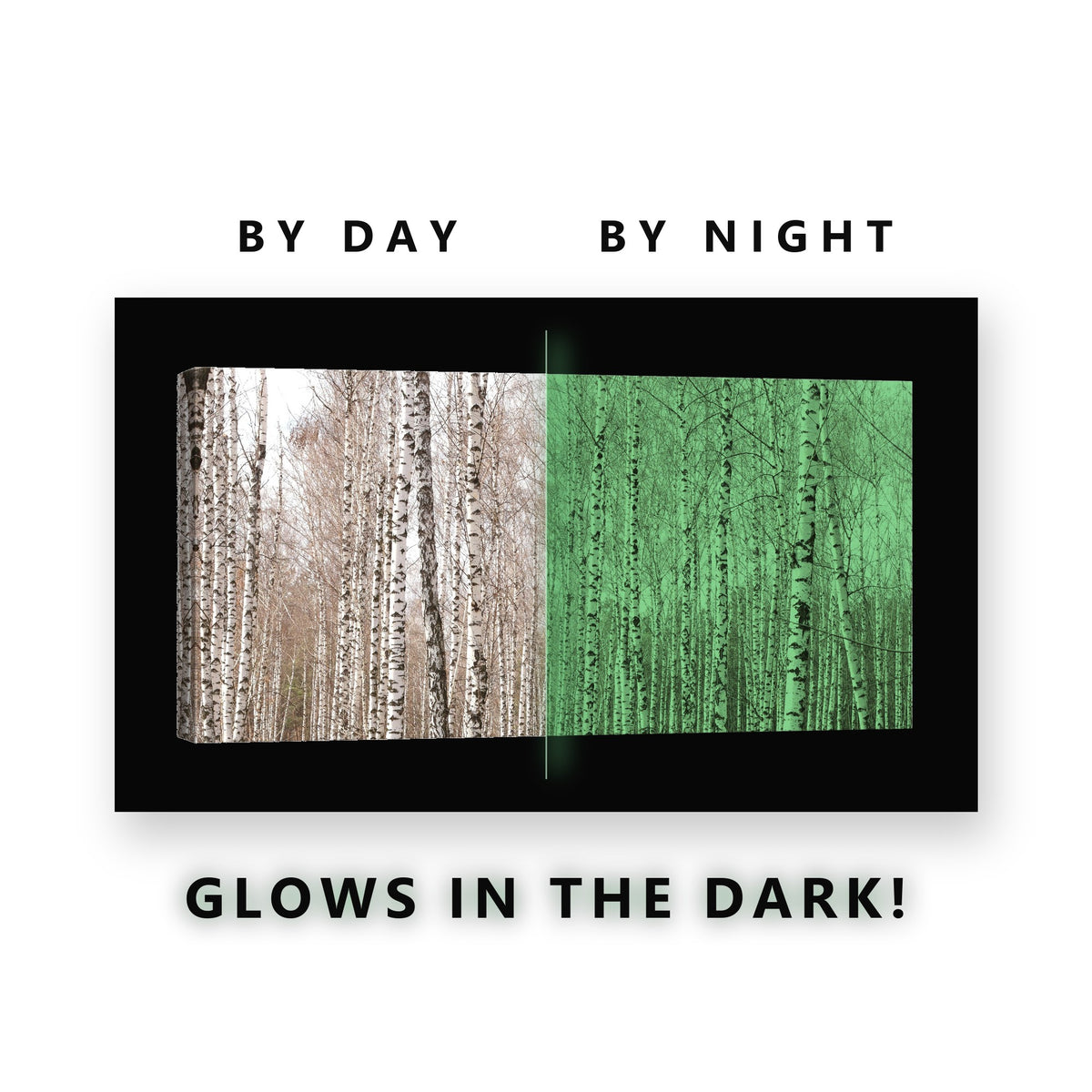 White Birch Grove Forest Glow in the Dark Canvas Wall Art for Living Room, glowing at night