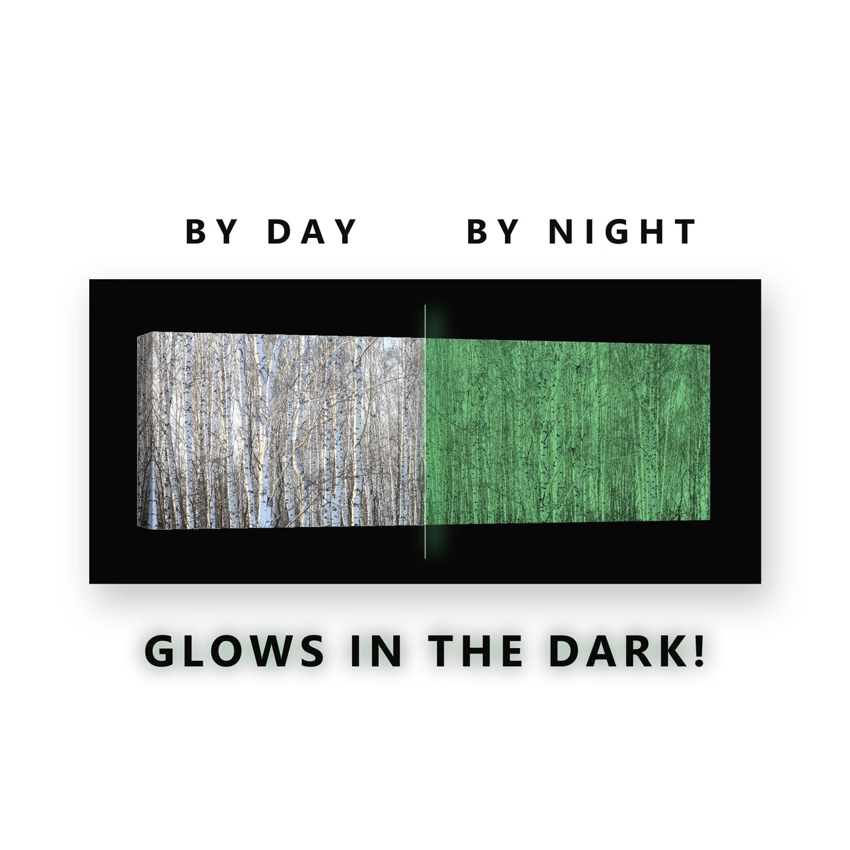 Birch Forest Panorama Glow in the Dark Canvas Wall Art for Living Room, glowing at night