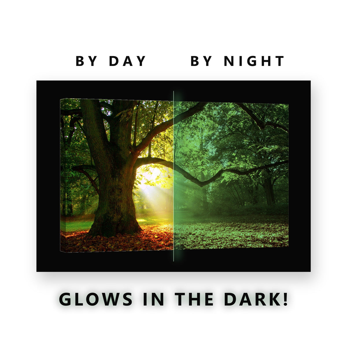Sun Rays Through Oak Tree Glow in the Dark Canvas Wall Art for Living Room, glowing at night