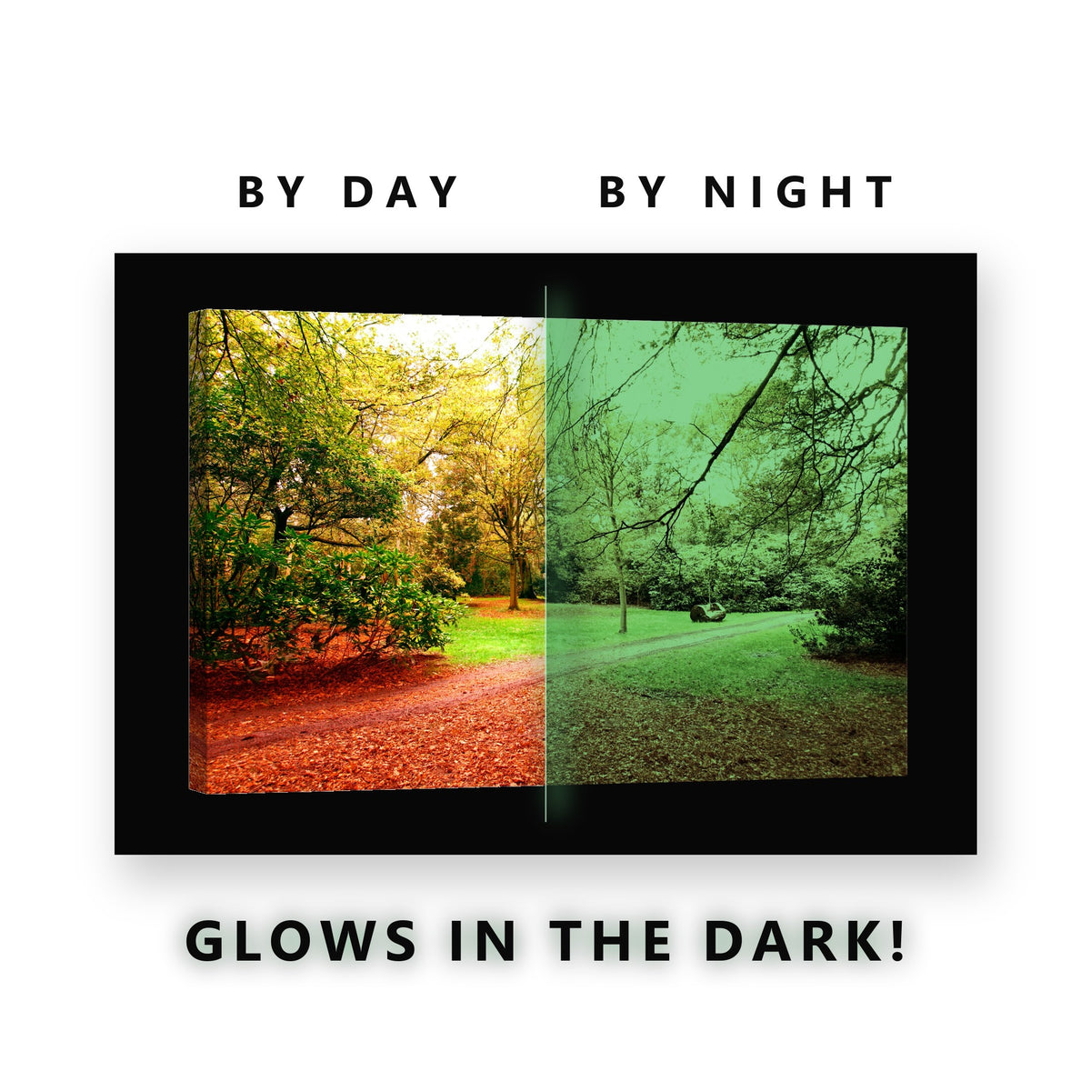 Autumn Park Clearing Path Glow in the Dark Canvas Wall Art for Living Room, glowing at night