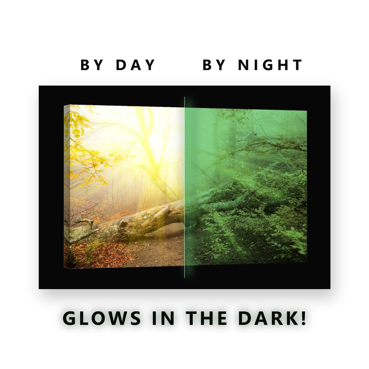 Sunlit Misty Autumn Forest Glow in the Dark Canvas Wall Art for Living Room, glowing at night