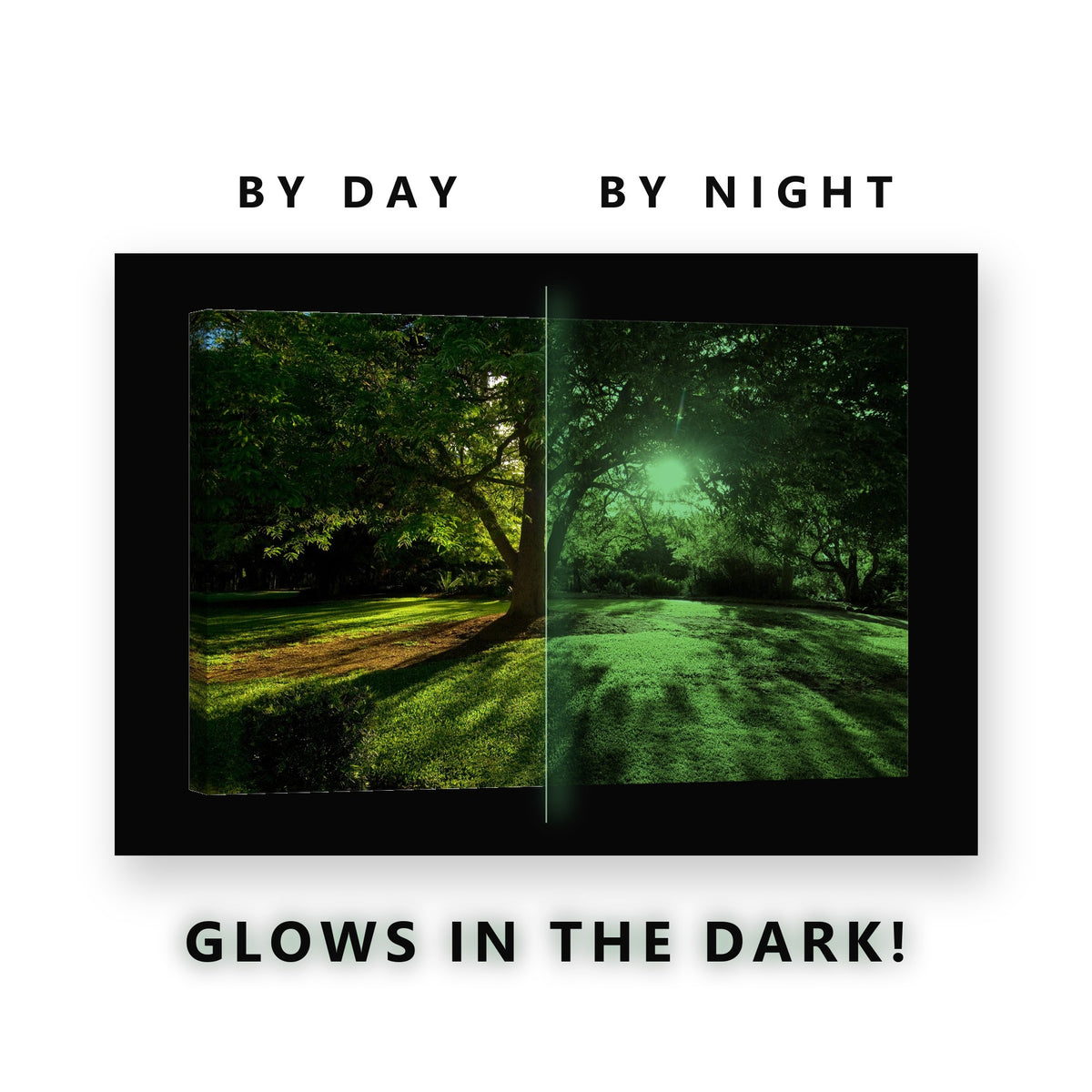 Sunlit Park Tree Lawn Glow in the Dark Canvas Wall Art for Living Room, glowing at night