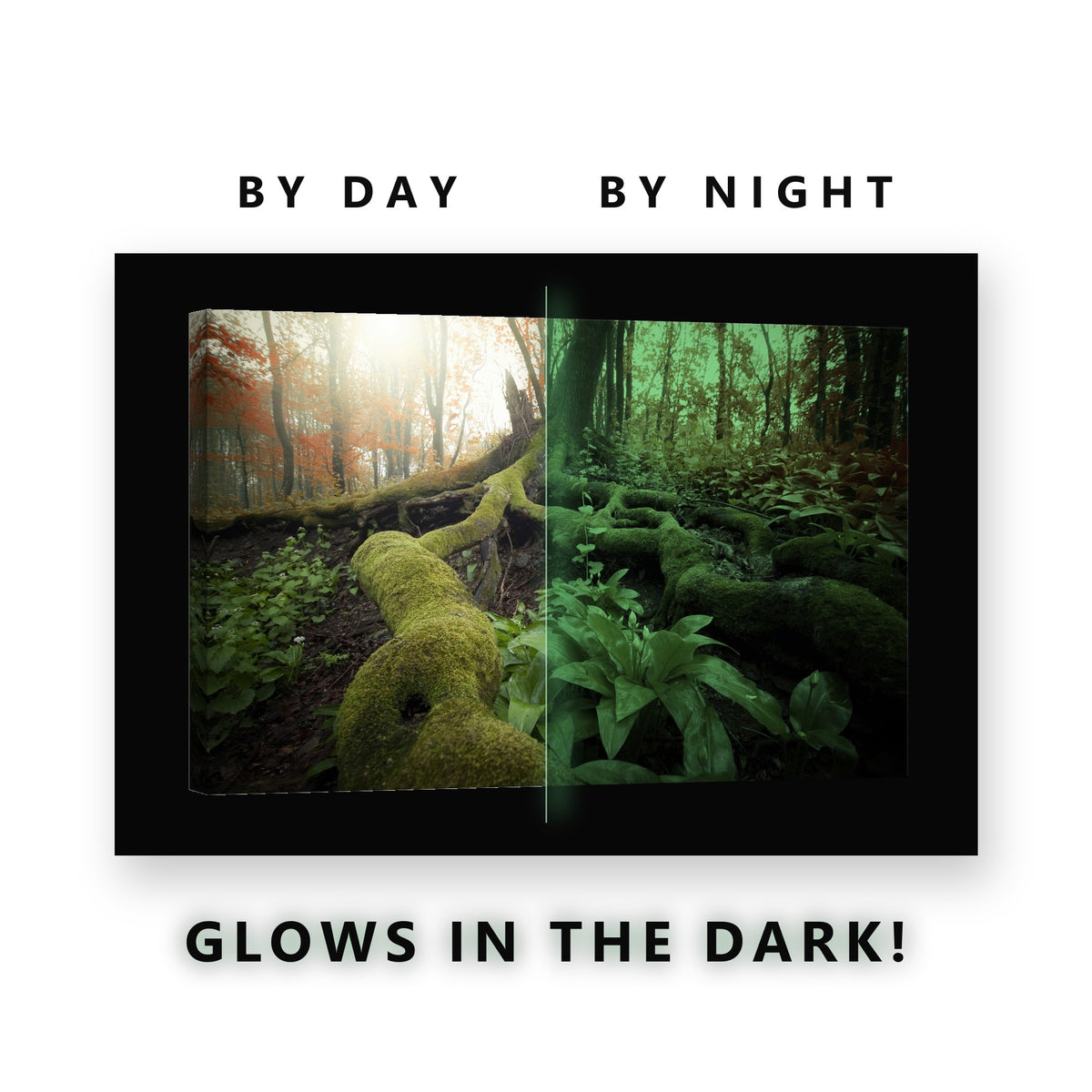 Mossy Tree Roots Autumn Forest Glow in the Dark Canvas Wall Art for Living Room, glowing at night