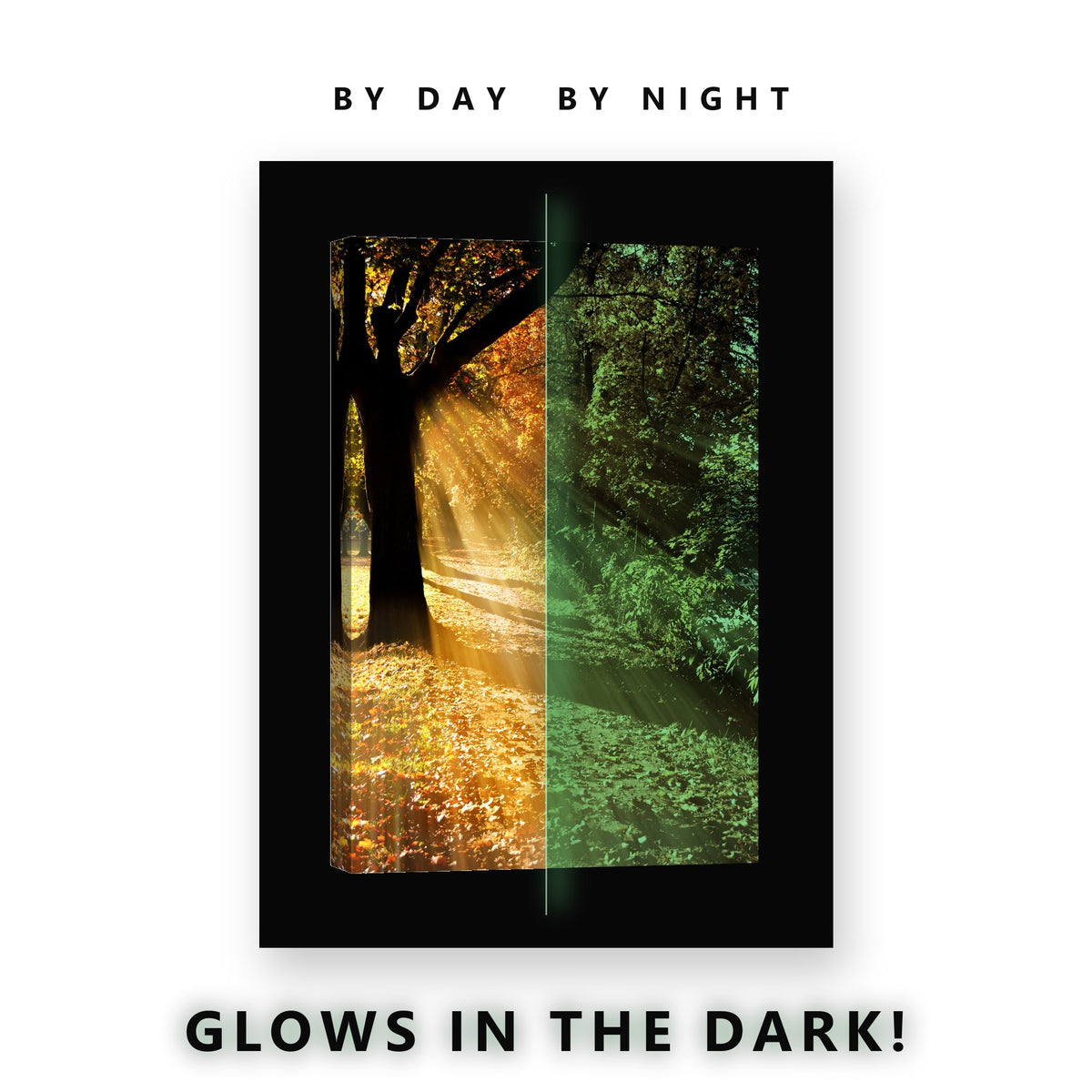 Golden Sun Rays Autumn Path Glow in the Dark Canvas Wall Art for Living Room, glowing at night