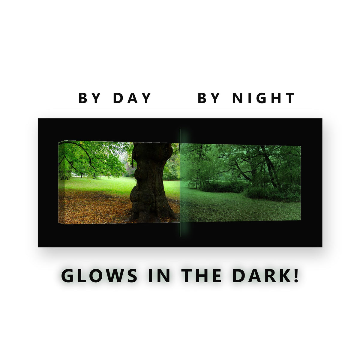 Gnarled Tree Trunk Park Glow in the Dark Canvas Wall Art for Living Room, glowing at night