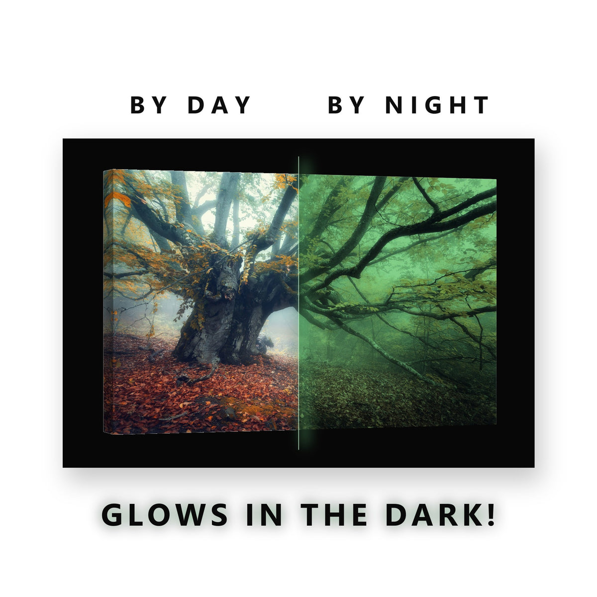 Natural Rock Pool Minerals Glow in the Dark Canvas Wall Art for Office, glowing at night