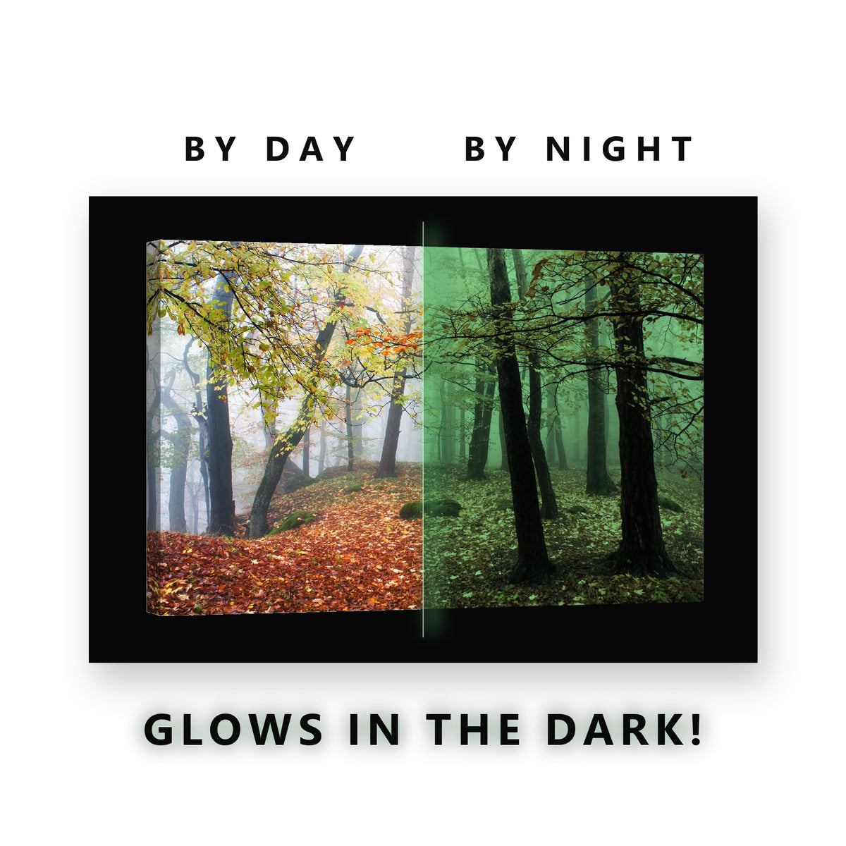 Misty Autumn Forest Floor Glow in the Dark Canvas Wall Art for Living Room, glowing at night