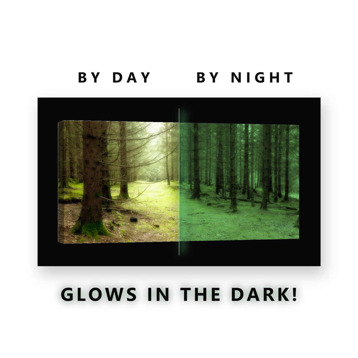 Mossy Pine Forest Floor Glow in the Dark Canvas Wall Art for Living Room, glowing at night
