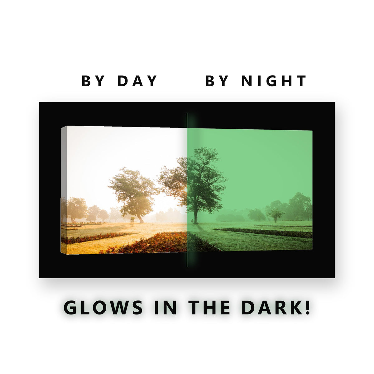 Sunlit Misty Park Trees Glow in the Dark Canvas Wall Art for Living Room, glowing at night