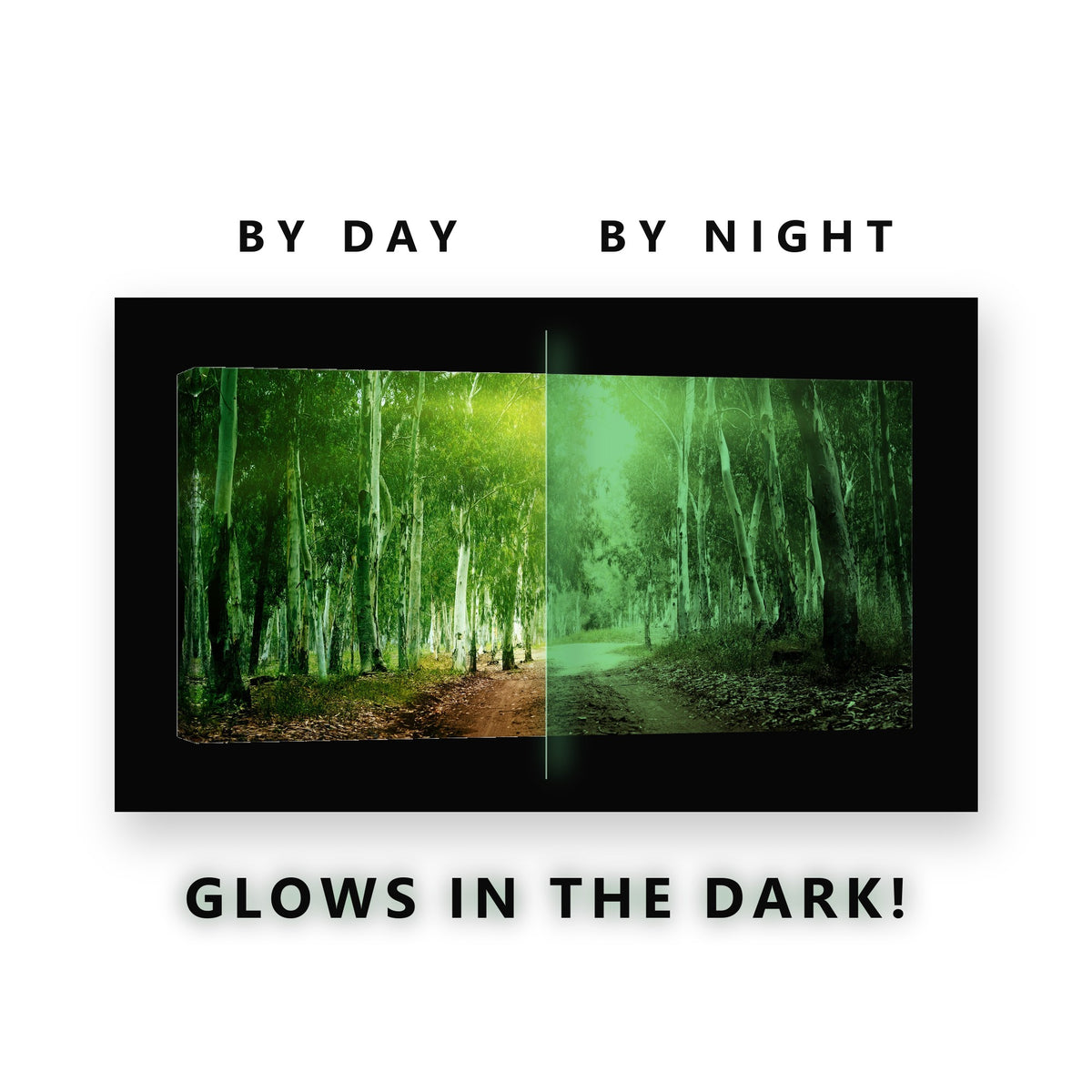 Sunlit Birch Forest Path Glow in the Dark Canvas Wall Art for Living Room, glowing at night