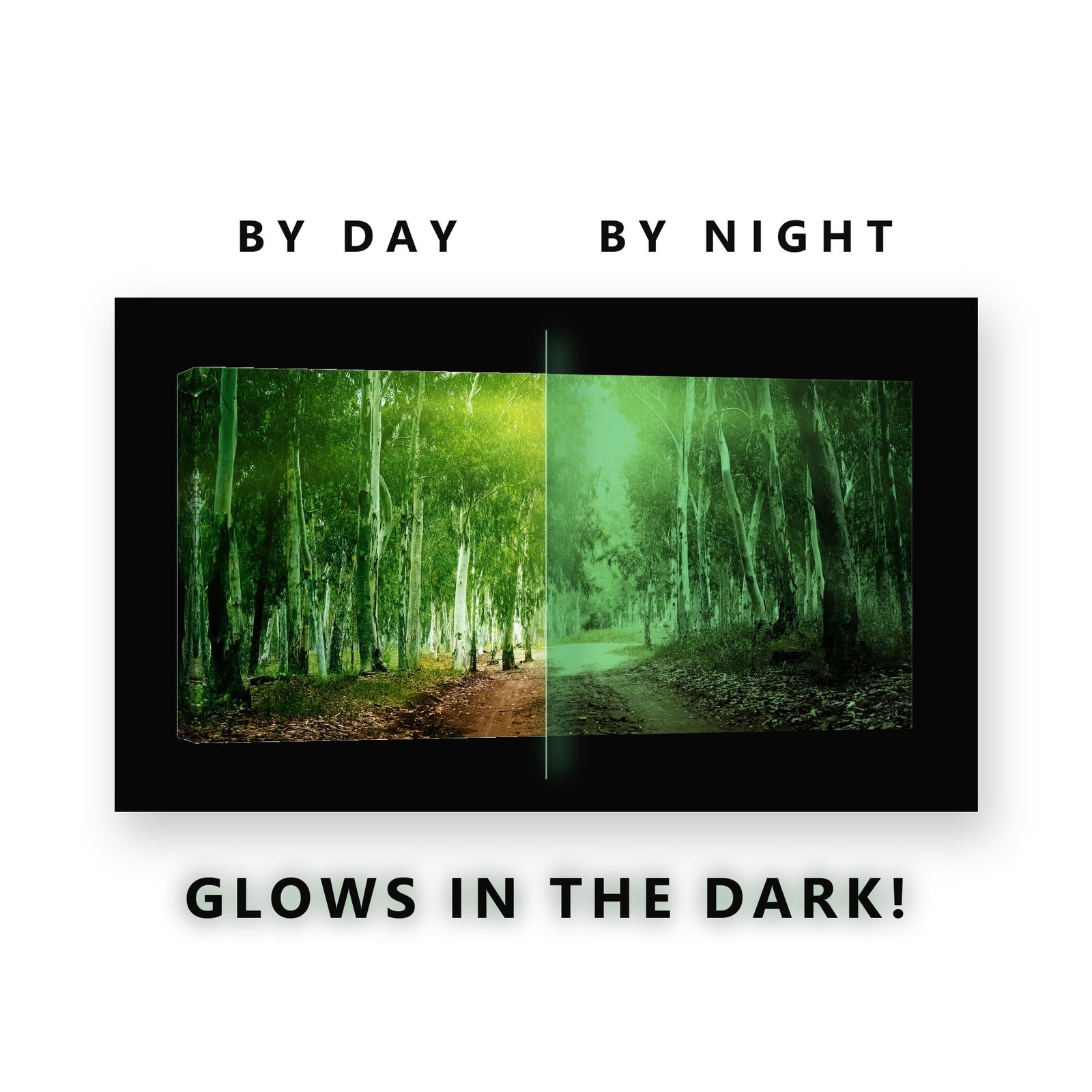 Sunlit Birch Forest Path Glow in the Dark Canvas Wall Art for Living Room, glowing at night