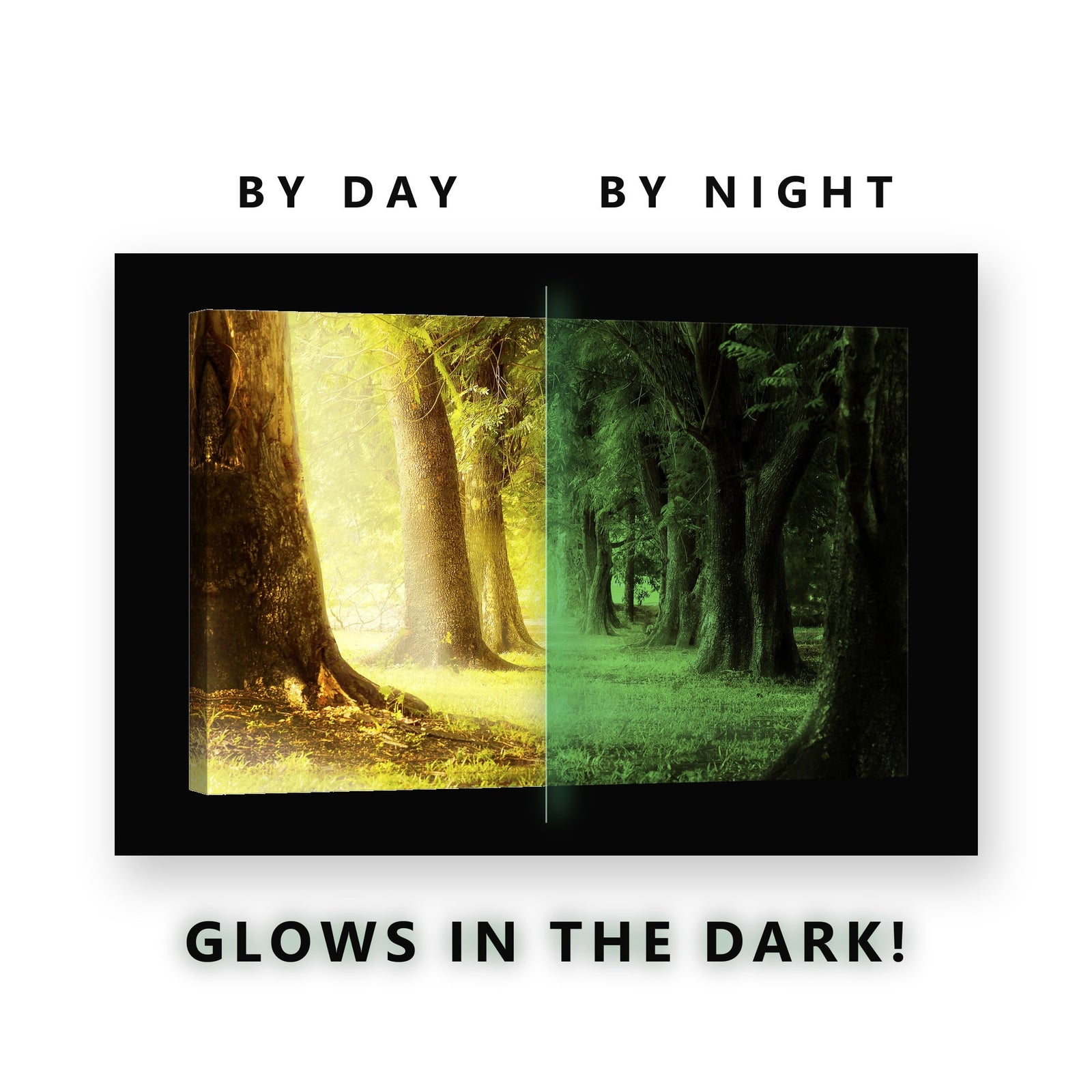 Sunlit Tree Avenue Park Glow in the Dark Canvas Wall Art for Living Room, glowing at night