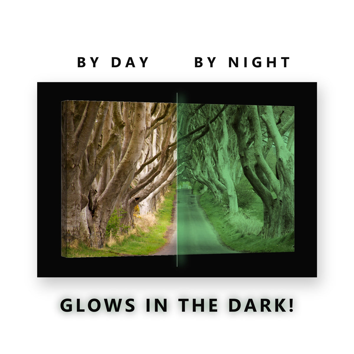 Gnarled Tree Tunnel Road Glow in the Dark Canvas Wall Art for Living Room, glowing at night