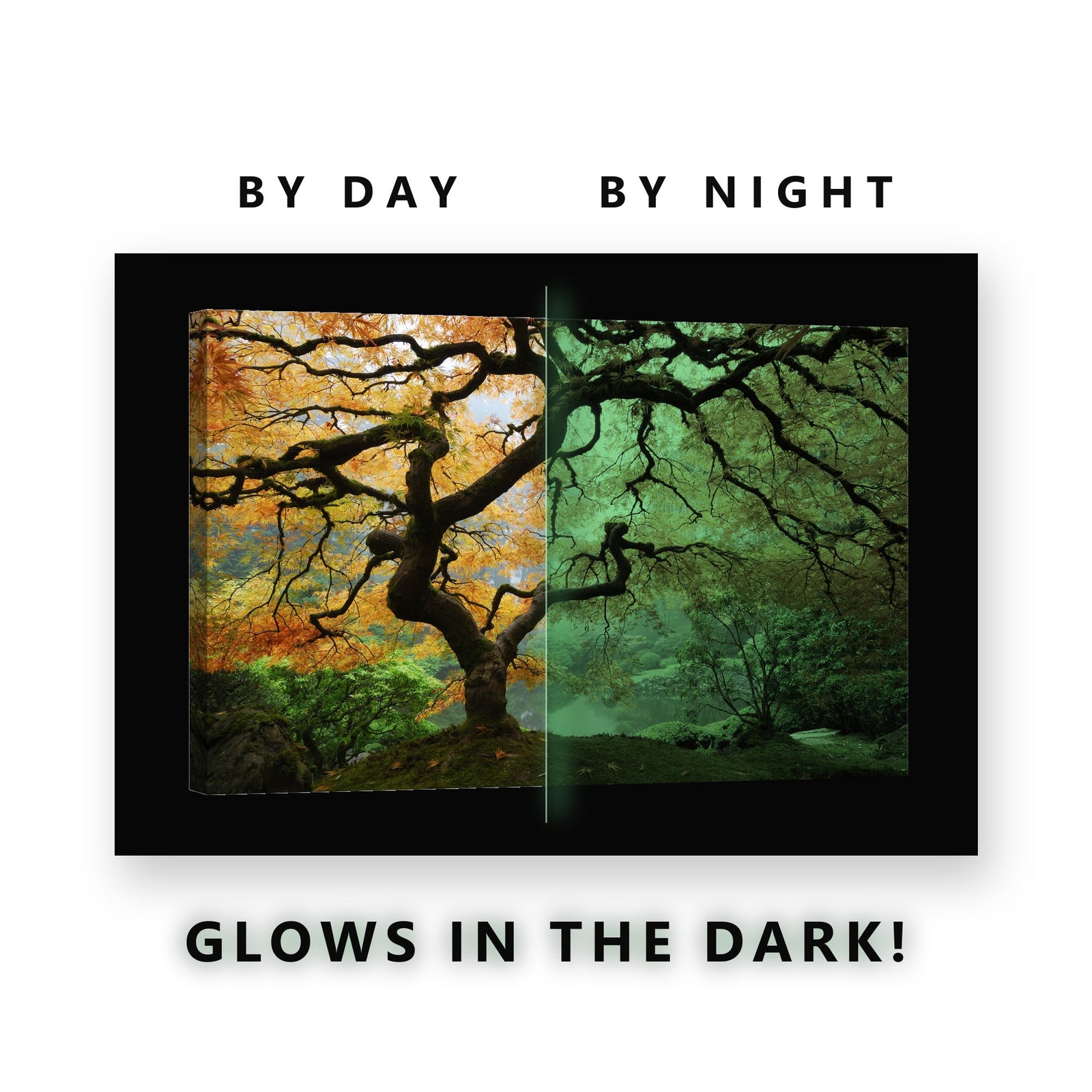 Glowing Japanese Maple Garden Glow in the Dark Canvas Wall Art for Living Room, glowing at night