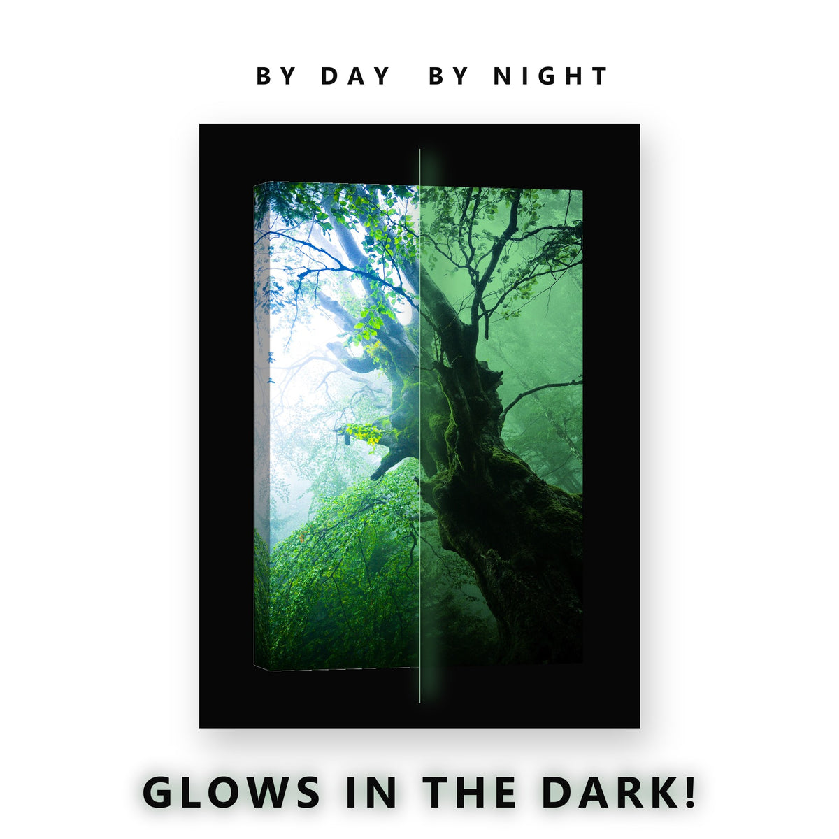 Glowing Mossy Tree Misty Forest Glow in the Dark Canvas Wall Art for Living Room, glowing at night