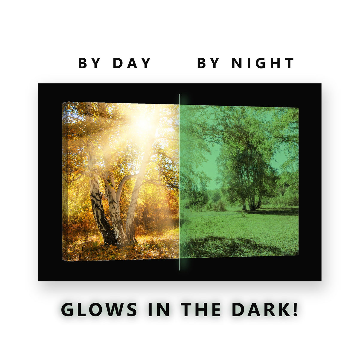 Glowing Golden Birch Park Glow in the Dark Canvas Wall Art for Living Room, glowing at night