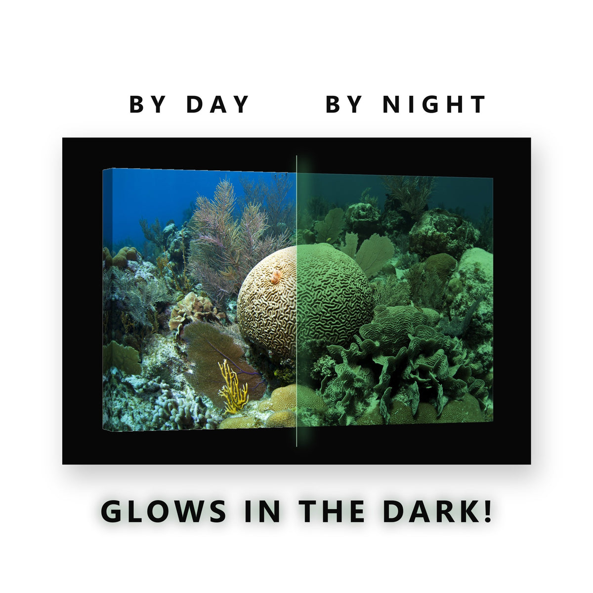 Glowing Brain Coral Reef Glow in the Dark Canvas Wall Art for Bedroom, glowing at night