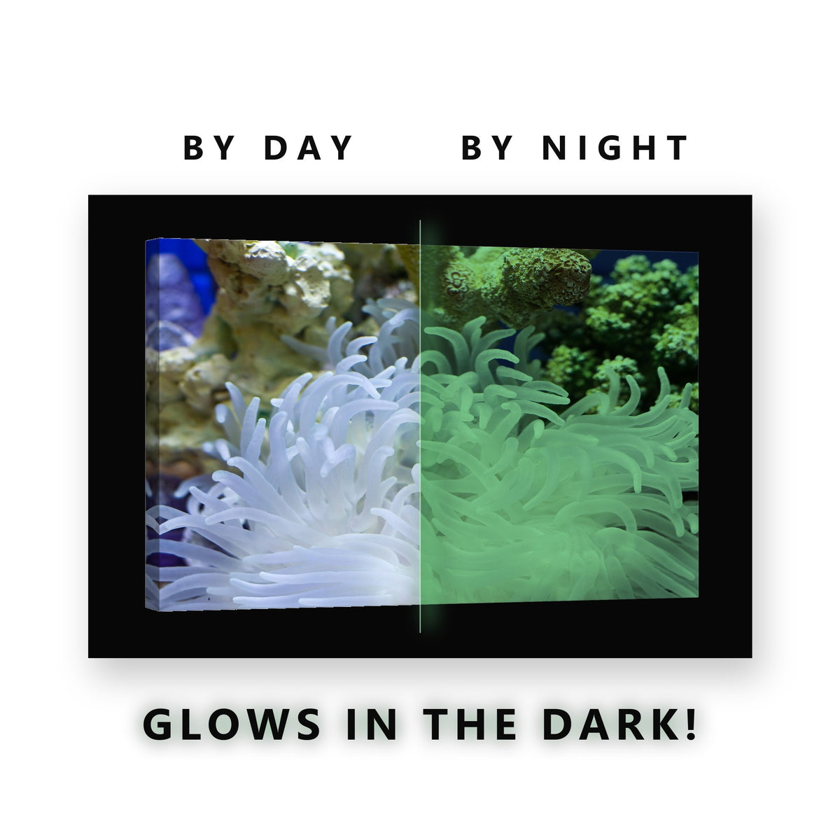 Glowing Sea Anemone Underwater Glow in the Dark Canvas Wall Art for Bedroom, glowing at night