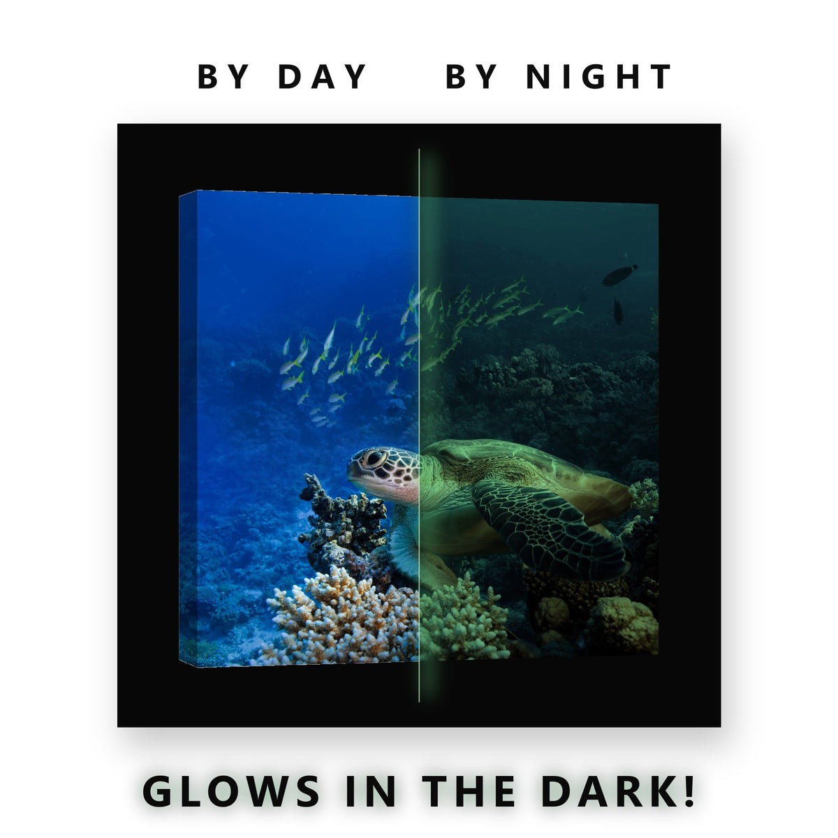 Glowing Sea Turtle Coral Reef Glow in the Dark Canvas Wall Art for Boys Bedroom, glowing at night