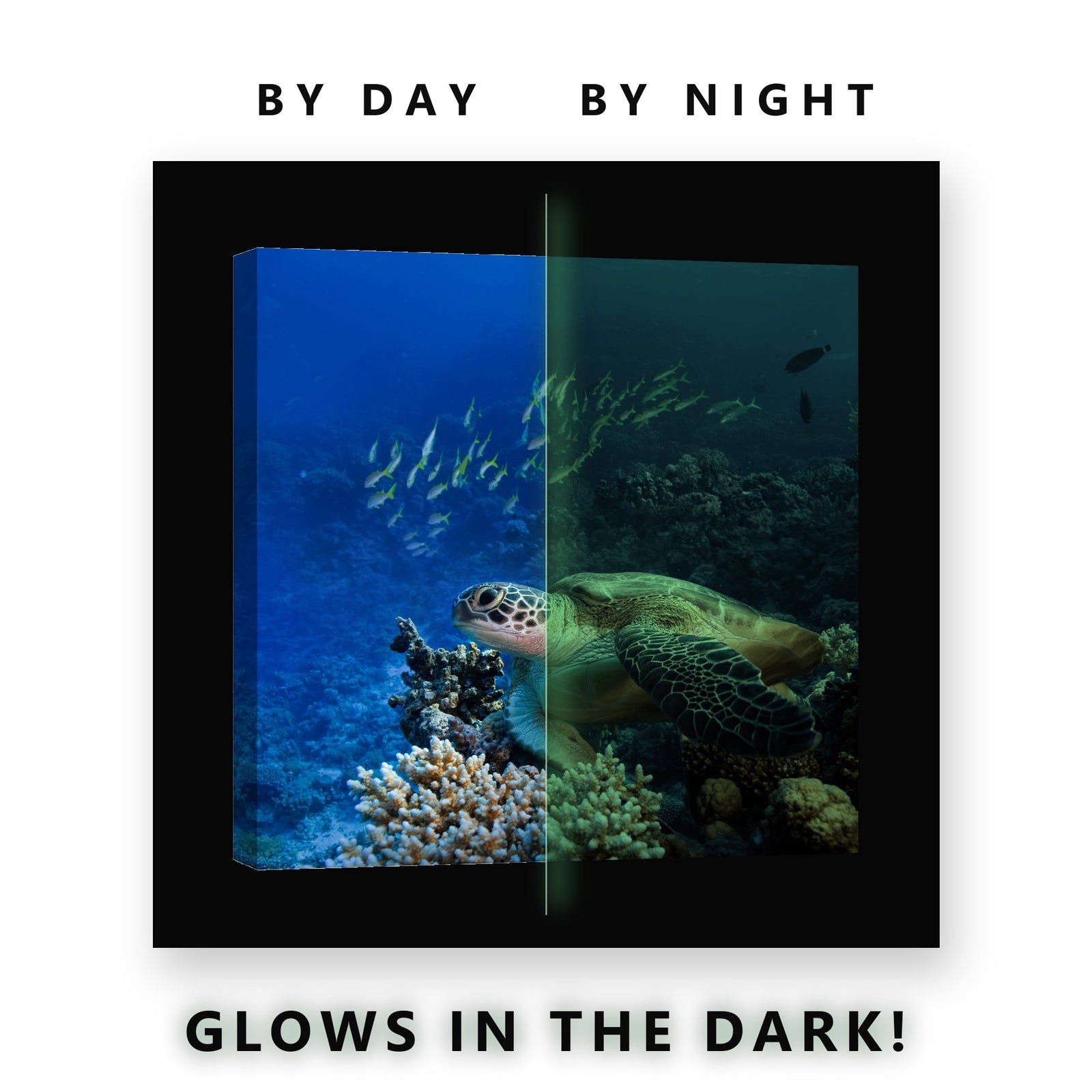 Glowing Sea Turtle Coral Reef Glow in the Dark Canvas Wall Art for Boys Bedroom, glowing at night