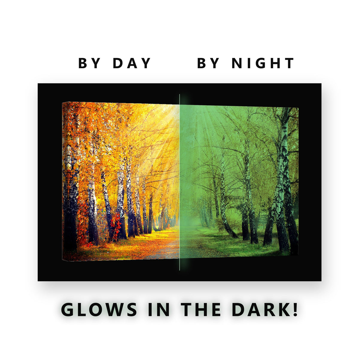 Glowing Golden Birch Avenue Glow in the Dark Canvas Wall Art for Living Room, glowing at night