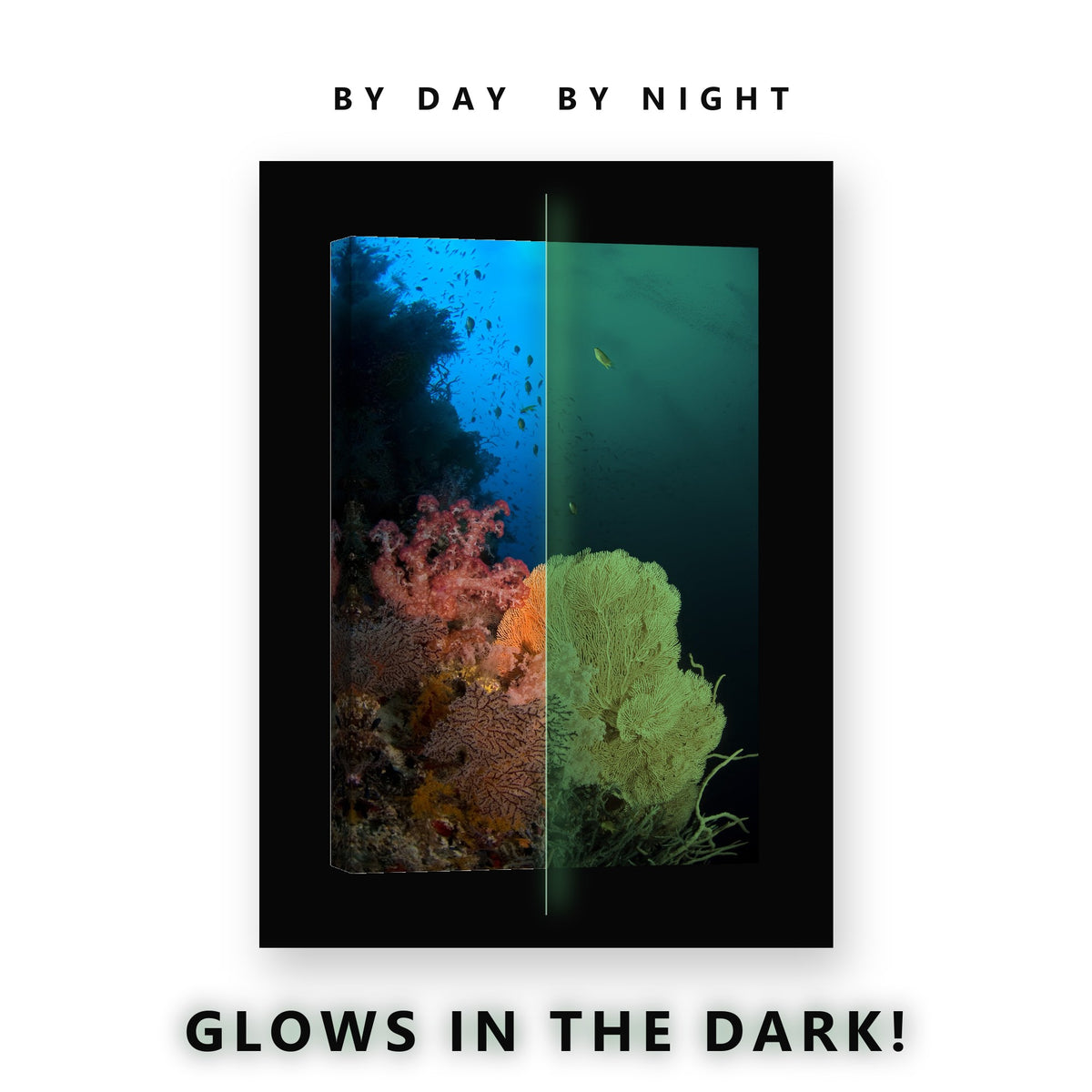 Glowing Orange Coral Fan Reef Glow in the Dark Canvas Wall Art for Bedroom, glowing at night