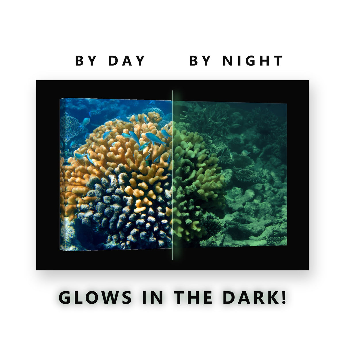 Glowing Golden Coral Reef Fish Glow in the Dark Canvas Wall Art for Bedroom, glowing at night