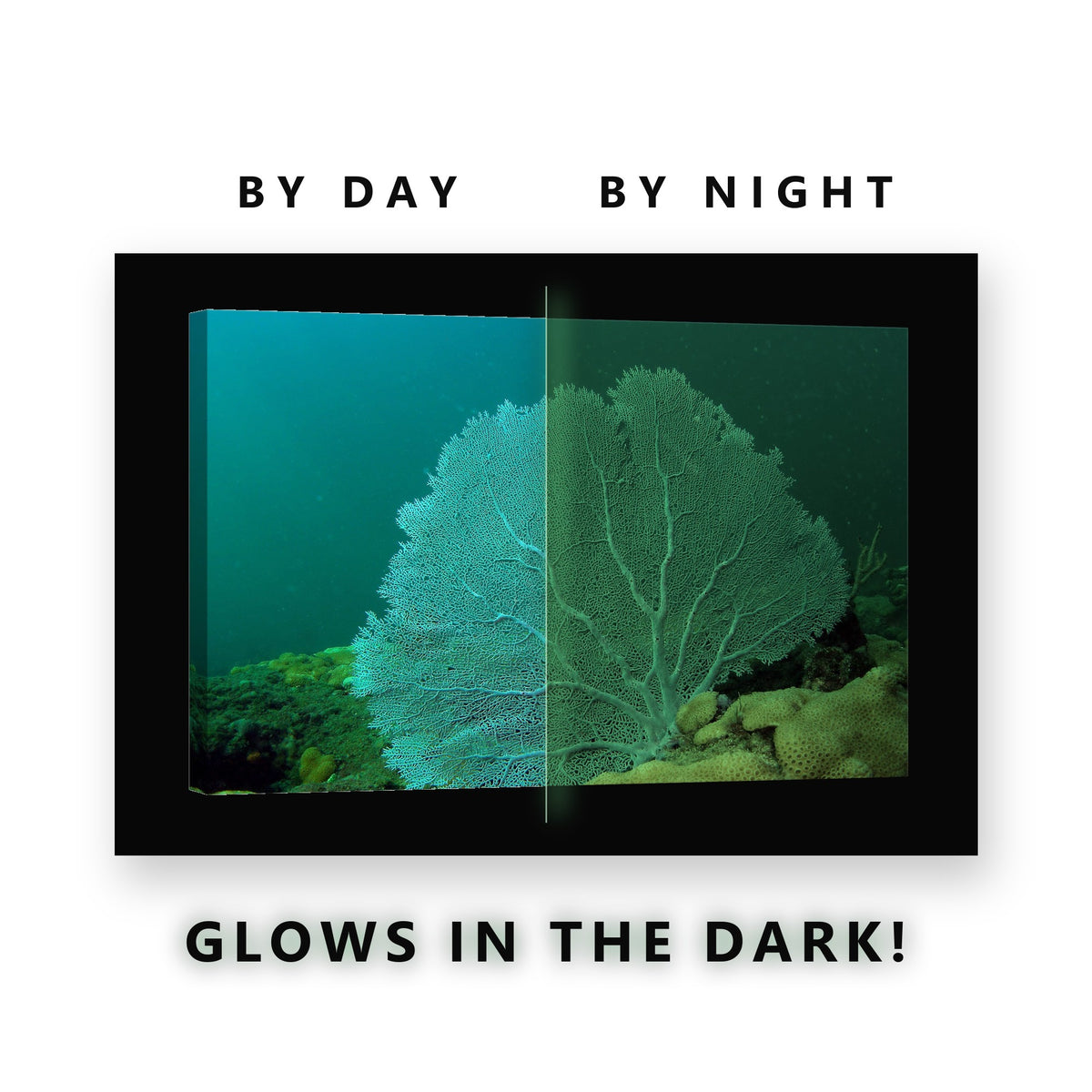 Glowing Turquoise Sea Fan Coral Glow in the Dark Canvas Wall Art for Bedroom, glowing at night
