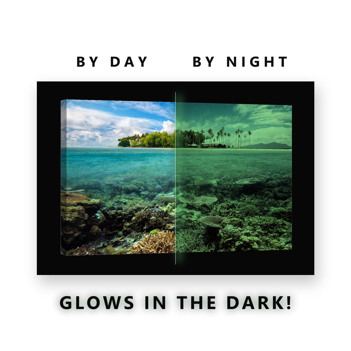 Glowing Mushroom Coral Beach Glow in the Dark Canvas Wall Art for Bedroom, glowing at night