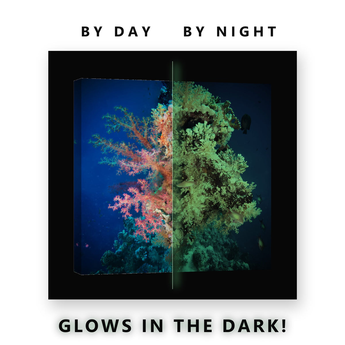 Colorful Soft Coral Reef Glow in the Dark Canvas Wall Art for Bedroom, glowing at night