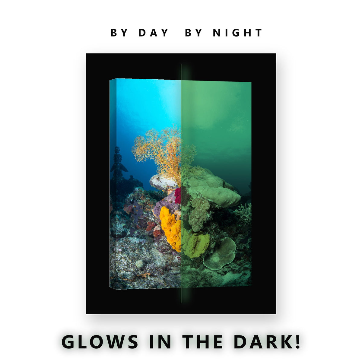 Vivid Coral Sea Sponges Glow in the Dark Canvas Wall Art for Bedroom, glowing at night