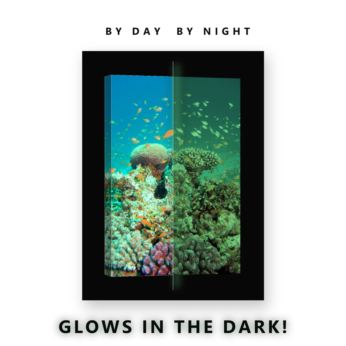 Brain Coral Schooling Fish Glow in the Dark Canvas Wall Art for Bedroom, glowing at night