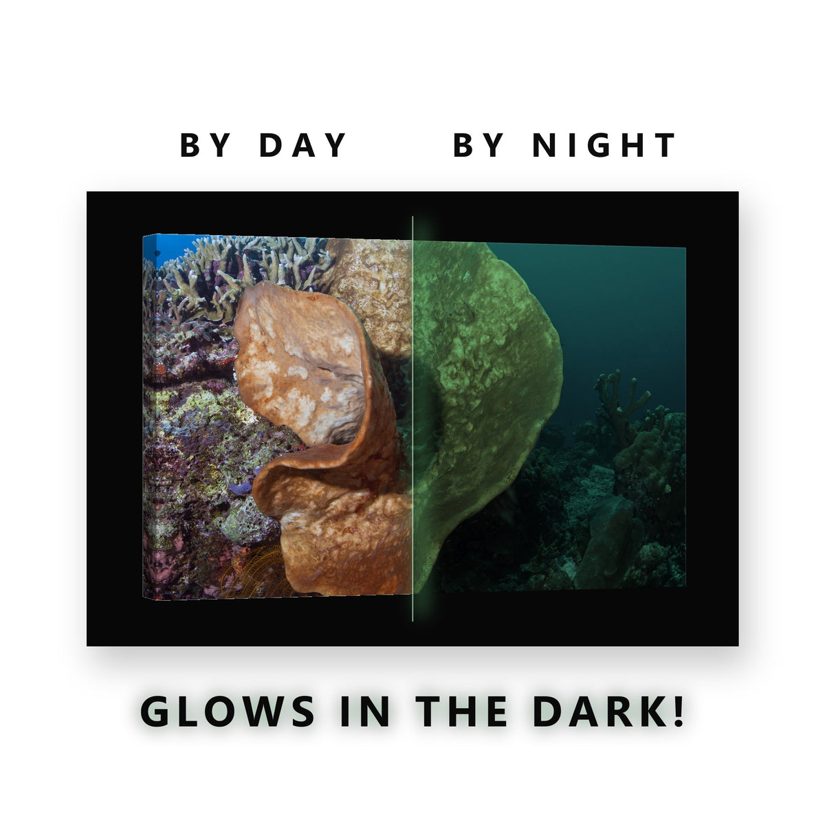 Mushroom Coral Formation Glow in the Dark Canvas Wall Art for Bedroom, glowing at night