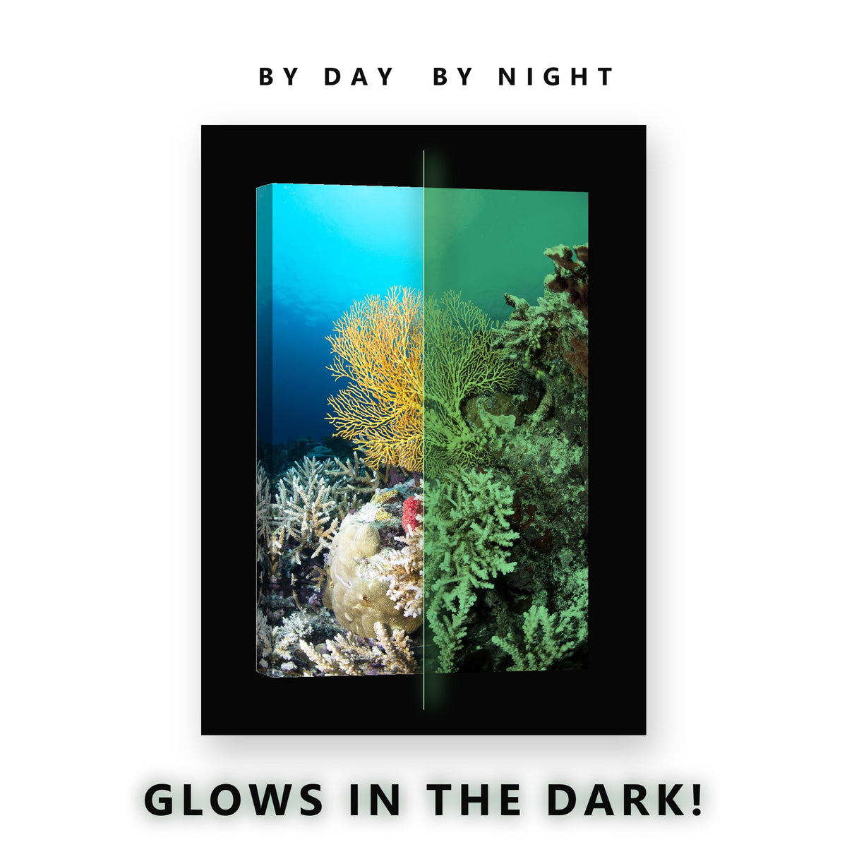 Soft Coral Tower Diver Fish Glow in the Dark Canvas Wall Art for Bedroom, glowing at night