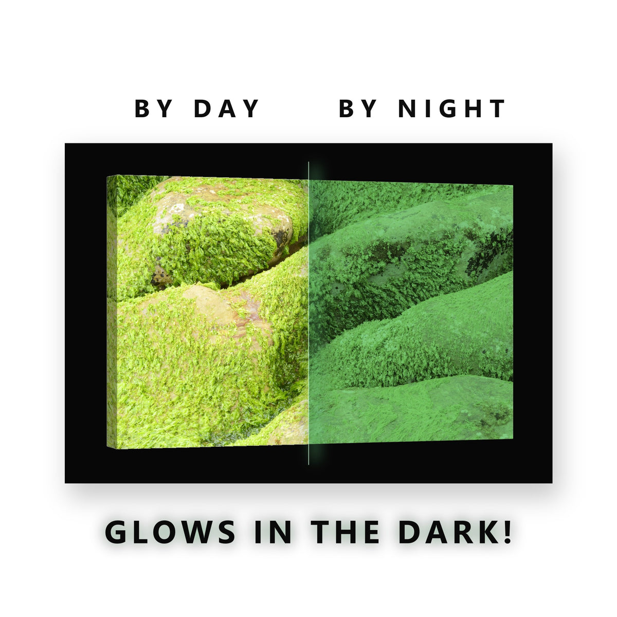 Glowing Green Mossy Rocks Glow in the Dark Canvas Wall Art for Man Cave, glowing at night