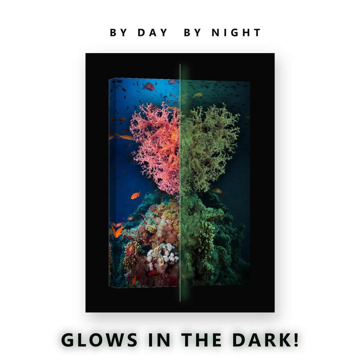 Pink Soft Coral Reef Fish Glow in the Dark Canvas Wall Art for Bedroom, glowing at night