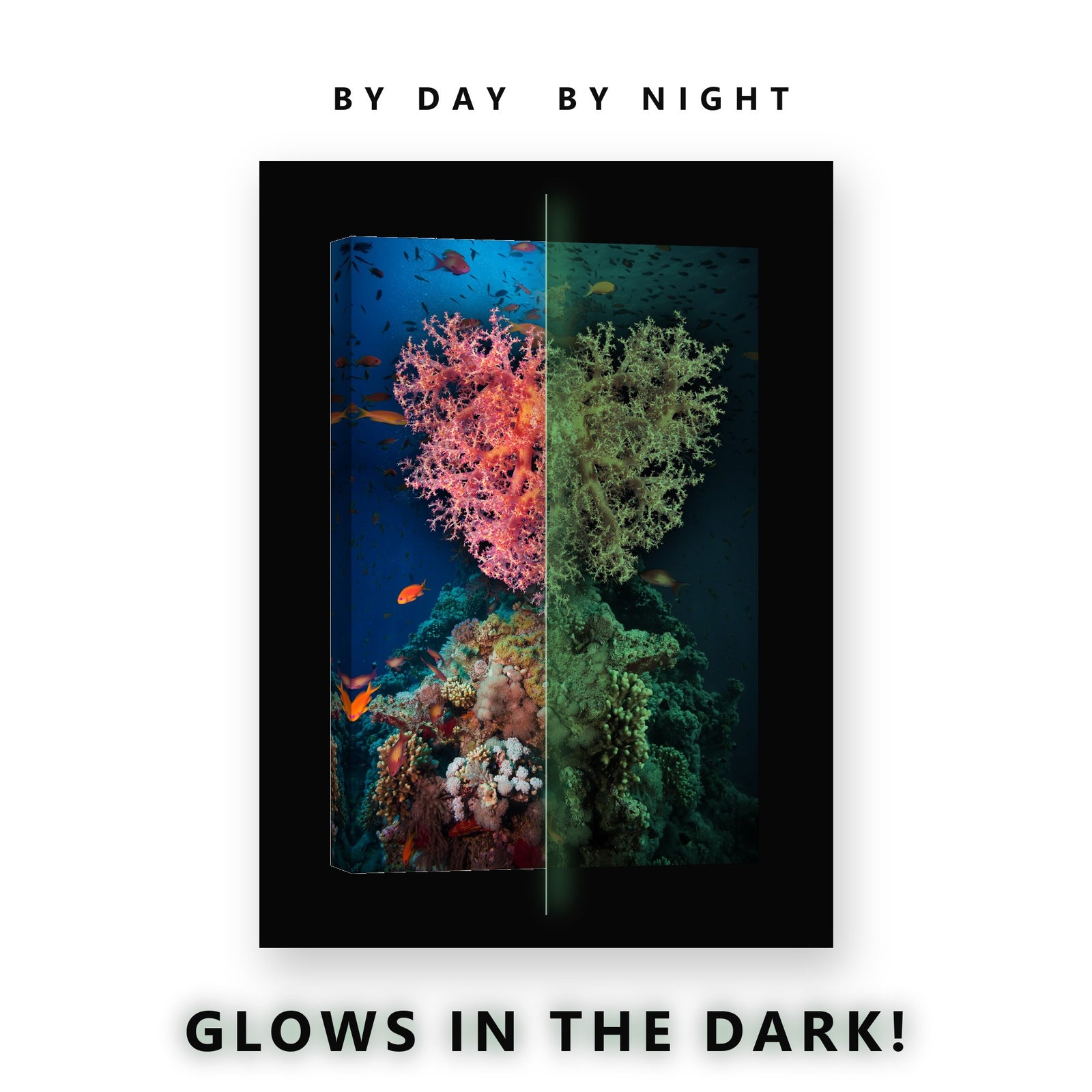 Pink Soft Coral Reef Fish Glow in the Dark Canvas Wall Art for Bedroom, glowing at night