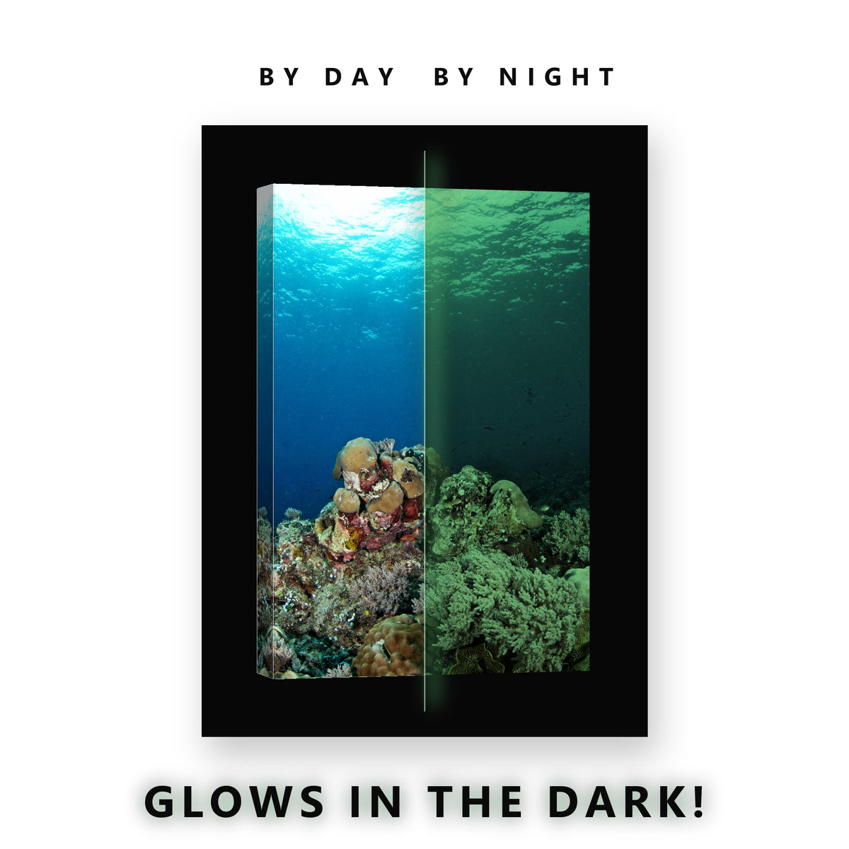 Glowing Coral Colony Blue Water Glow in the Dark Canvas Wall Art for Bedroom, glowing at night