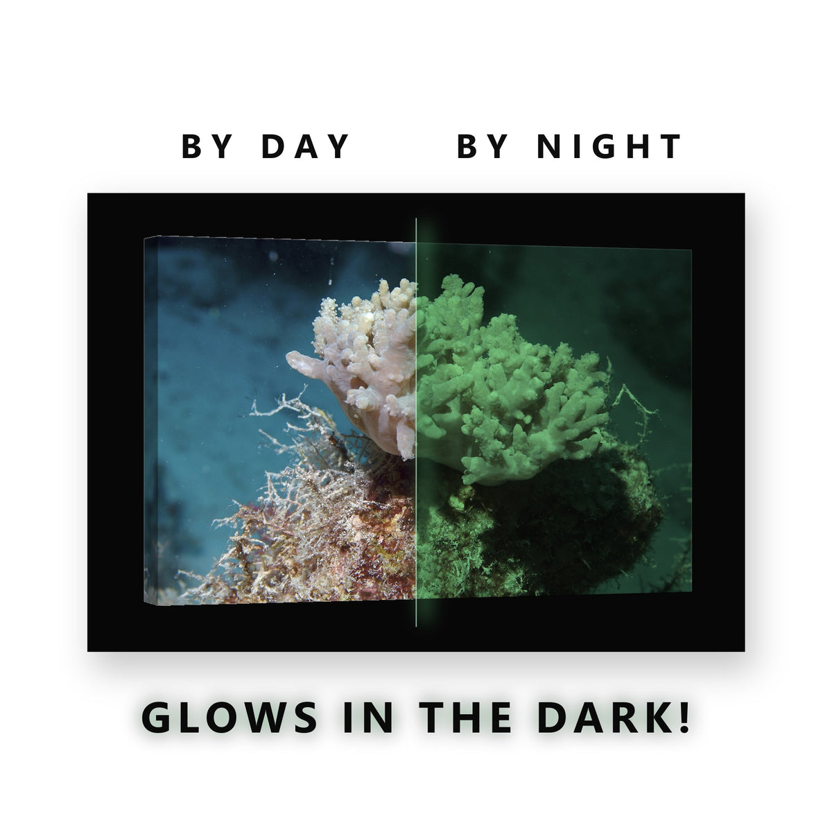 Glowing Pale Coral Reef Cluster Glow in the Dark Canvas Wall Art for Bedroom, glowing at night