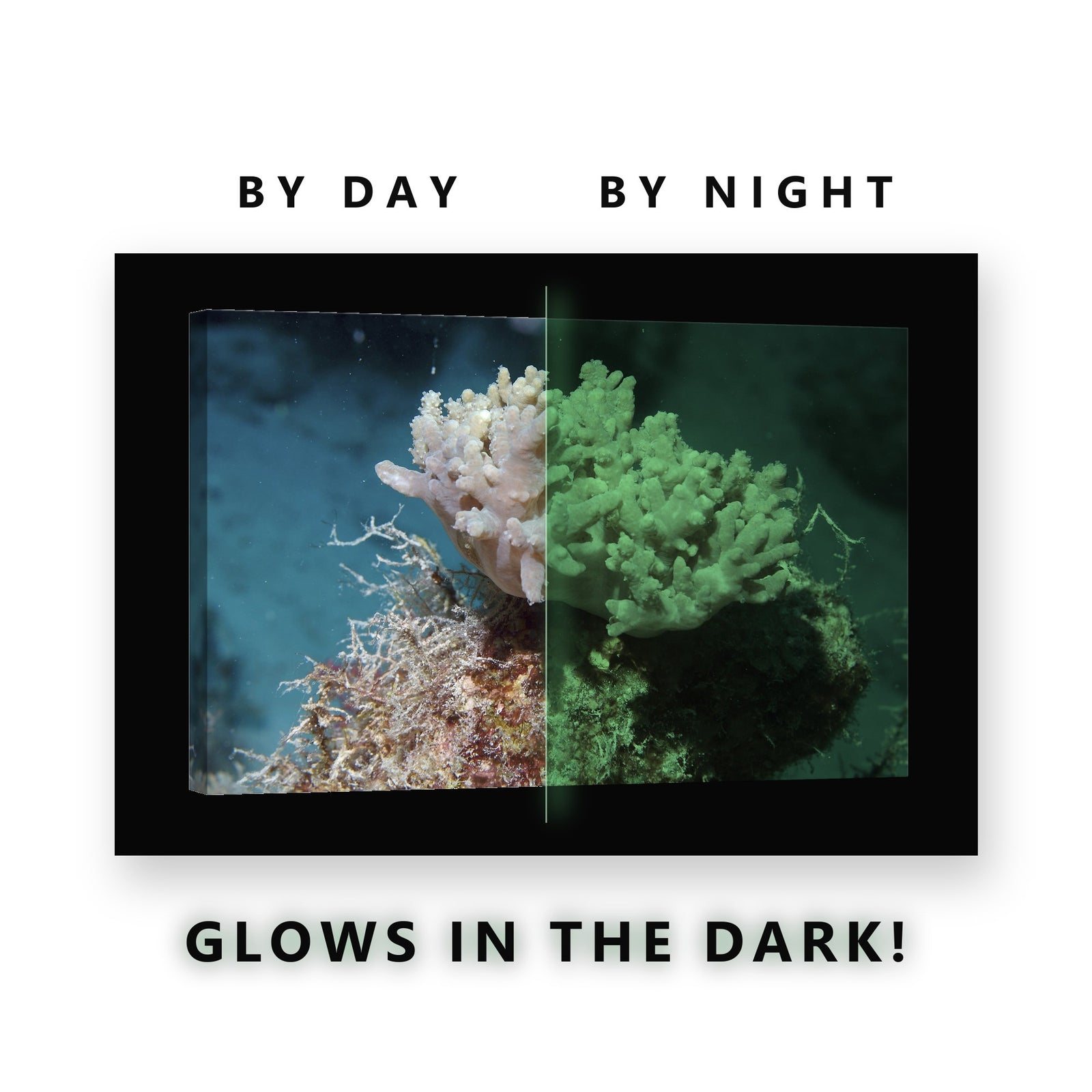 Glowing Pale Coral Reef Cluster Glow in the Dark Canvas Wall Art for Bedroom, glowing at night