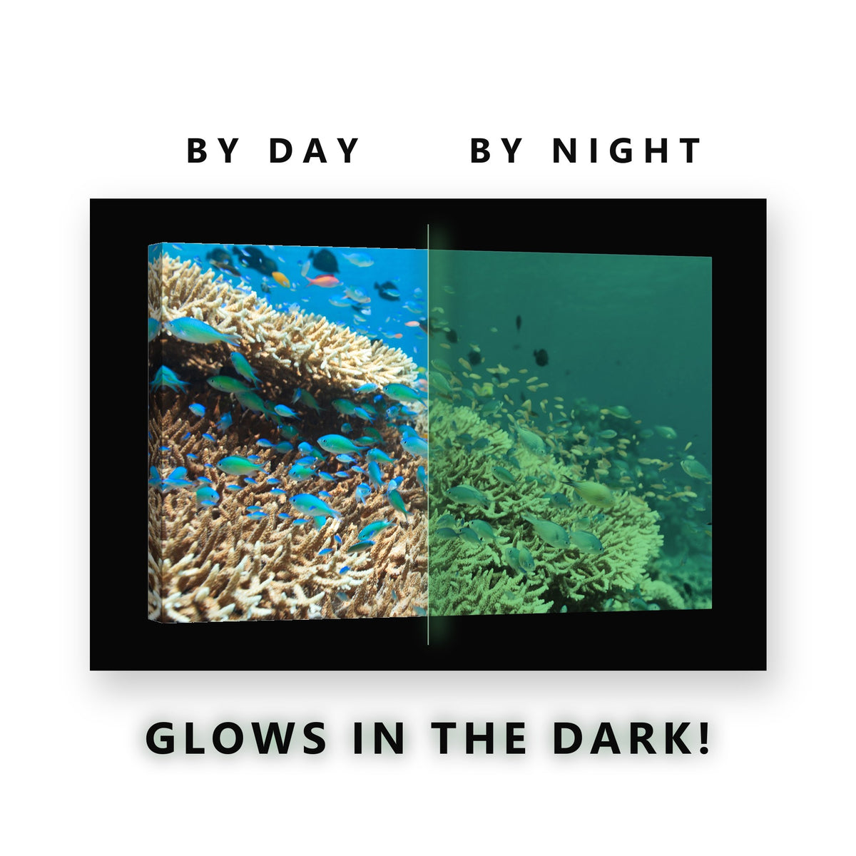 Glowing Hillside Coral Fish School Glow in the Dark Canvas Wall Art for Bedroom, glowing at night