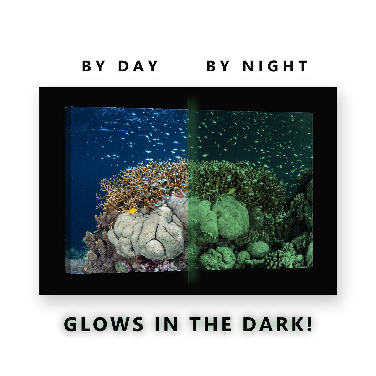 Glowing Coral Reef Mound Fish Glow in the Dark Canvas Wall Art for Bedroom, glowing at night